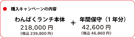 購入キャンペーン内容