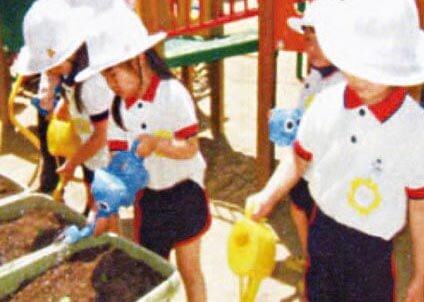 水やり・植え替え