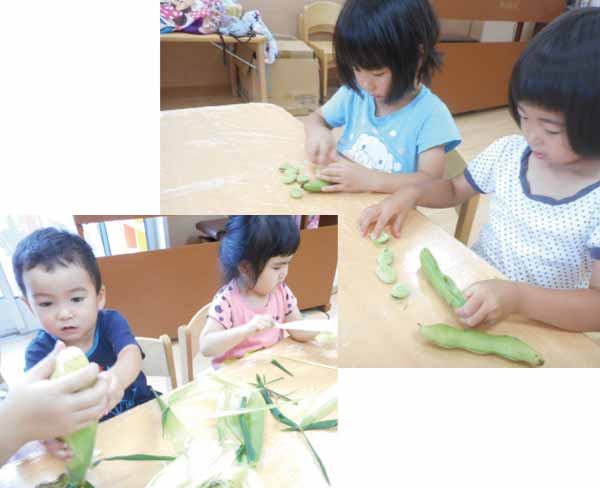 食材にふれて、経験を増やす