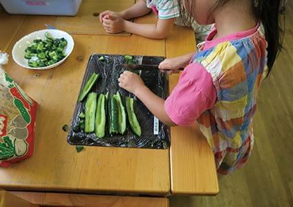 市川保育園の園児たちが園庭で育てた「きゅうり」