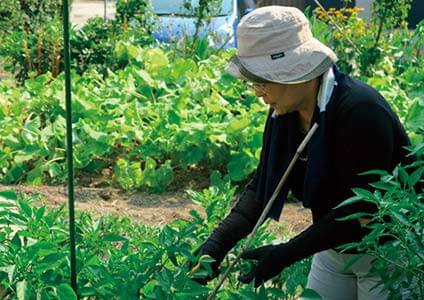野菜を扱う手つきもこなれています。