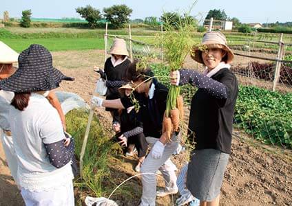 人参です。やったー！