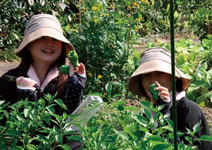 収穫したピーマンを手に、思わず笑顔がこぼれます。